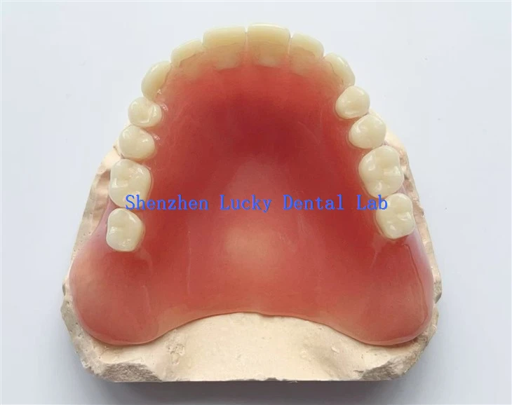 Dental Full Acrylic Denture Dental Laboratory